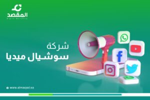 شركة سوشيال ميديا